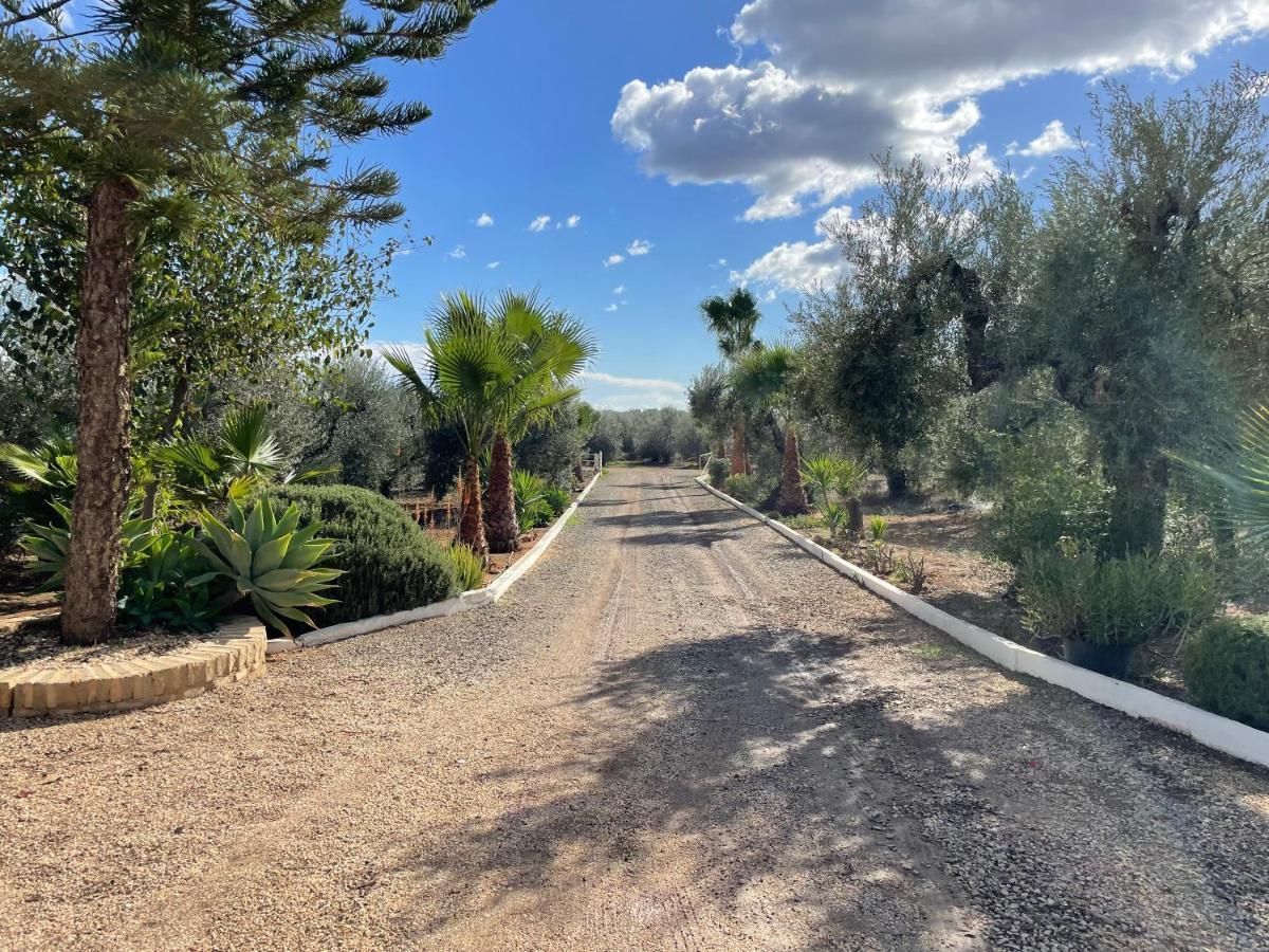 El Paraiso Del Olivar Bollullos de la Mitacion Bagian luar foto