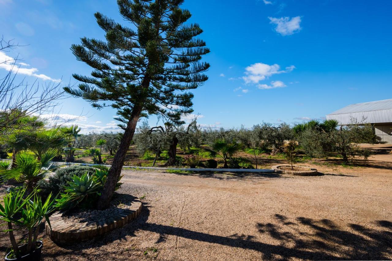 El Paraiso Del Olivar Bollullos de la Mitacion Bagian luar foto