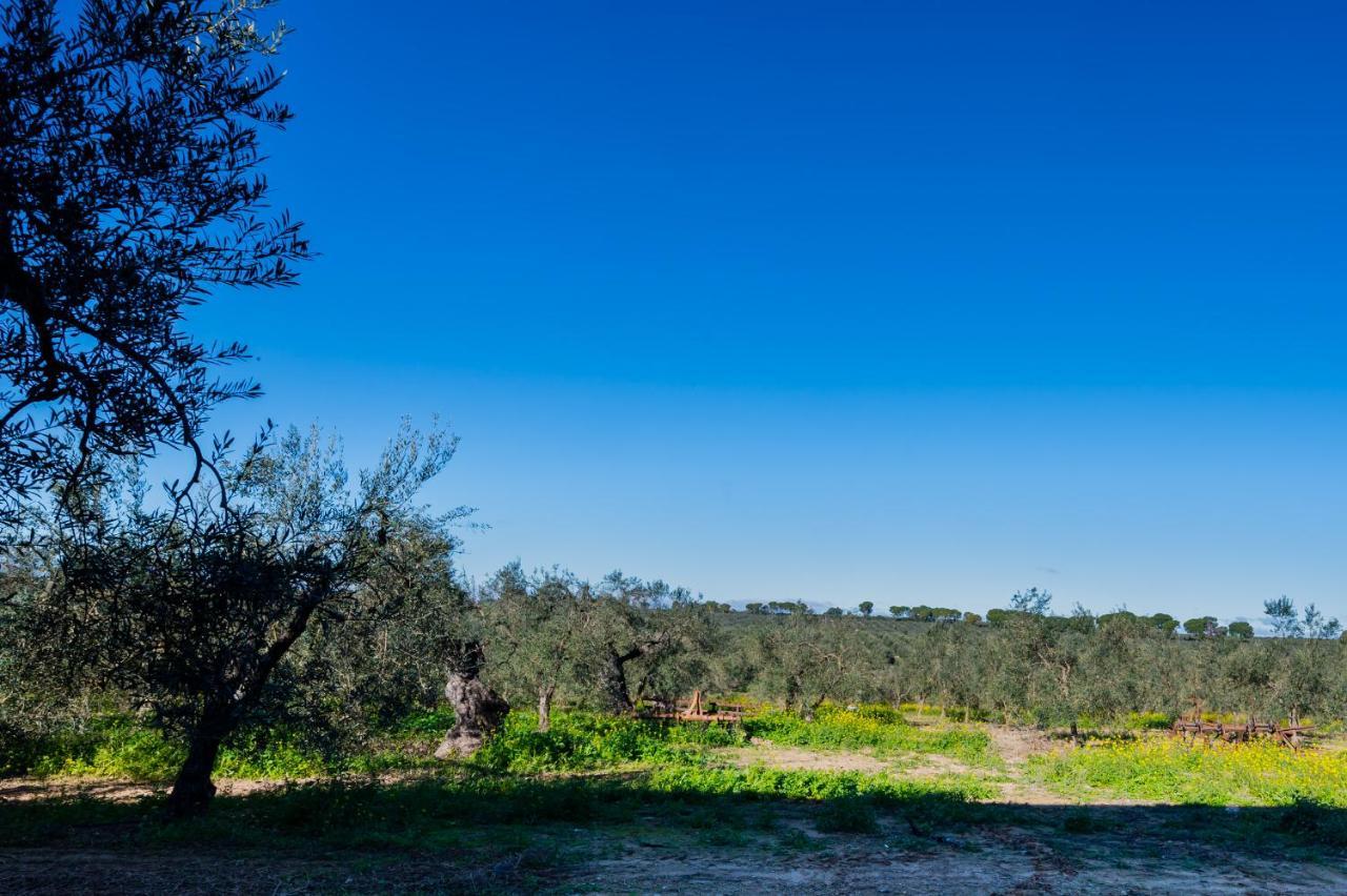 El Paraiso Del Olivar Bollullos de la Mitacion Bagian luar foto